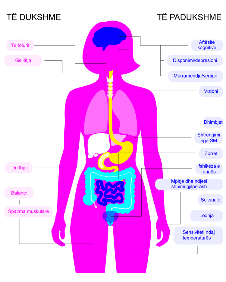 Anatomical diagram of woman with labels for visible and invisible symptoms, indicating the relevant body parts