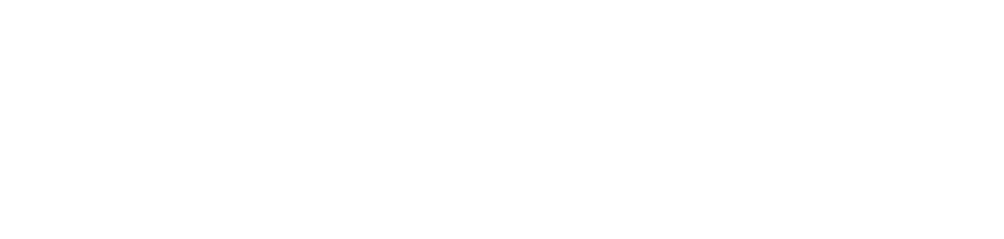 MS Resistance logo